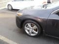 Graphite Luster Pearl - TSX Sedan Photo No. 9