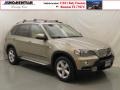 2009 Platinum Bronze Metallic BMW X5 xDrive35d  photo #1