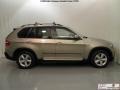 Platinum Bronze Metallic - X5 xDrive35d Photo No. 6