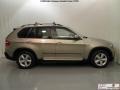 2009 Platinum Bronze Metallic BMW X5 xDrive35d  photo #6