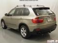 2009 Platinum Bronze Metallic BMW X5 xDrive35d  photo #22