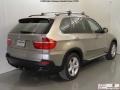 2009 Platinum Bronze Metallic BMW X5 xDrive35d  photo #23