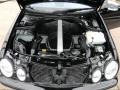4.3 Liter SOHC 24-Valve V8 2003 Mercedes-Benz CLK 430 Cabriolet Engine