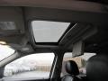 Silver Birch Metallic - Taurus X Limited AWD Photo No. 12