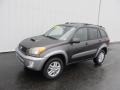 Graphite Gray Pearl - RAV4 4WD Photo No. 1