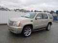 Gold Mist - Escalade AWD Photo No. 1