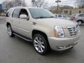 Gold Mist - Escalade AWD Photo No. 5