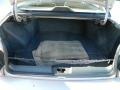 Taupe Trunk Photo for 1998 Buick LeSabre #59532649