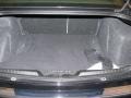 2009 Chrysler 300 Dark Khaki/Light Graystone Interior Trunk Photo
