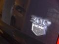 2009 Chrysler 300 C HEMI Heritage Edition Badge and Logo Photo