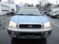 2004 Arctic Blue Hyundai Santa Fe GLS 4WD  photo #2