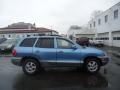 2004 Arctic Blue Hyundai Santa Fe GLS 4WD  photo #4