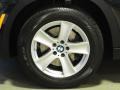 2010 BMW X5 xDrive48i Wheel and Tire Photo