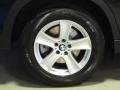 2010 BMW X5 xDrive48i Wheel and Tire Photo