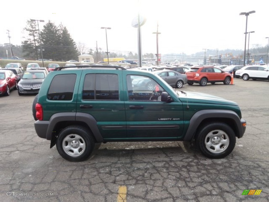 2003 Liberty Sport 4x4 - Timberline Green Metallic / Dark Slate Gray photo #5