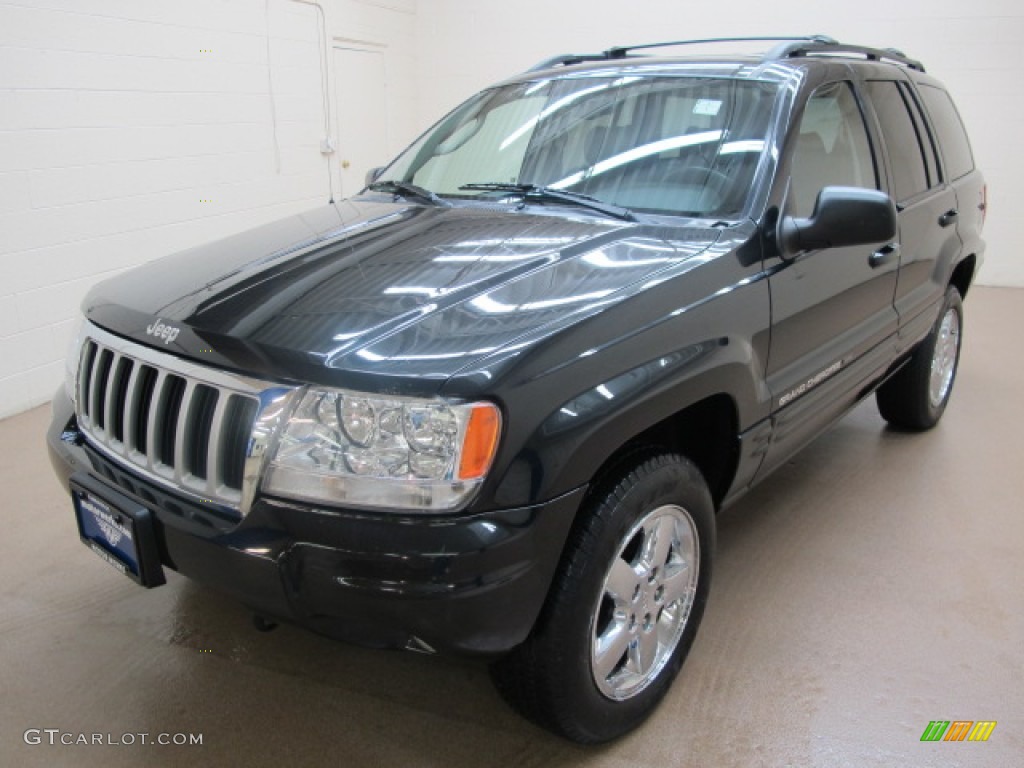 2004 Grand Cherokee Limited 4x4 - Graphite Metallic / Dark Slate Gray photo #4