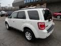 2009 White Suede Ford Escape Limited 4WD  photo #2