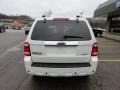 2009 White Suede Ford Escape Limited 4WD  photo #3