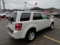 2009 White Suede Ford Escape Limited 4WD  photo #4