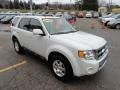 White Suede 2009 Ford Escape Limited 4WD Exterior