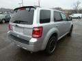 Ingot Silver Metallic - Escape XLT Sport Package 4WD Photo No. 4