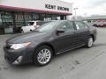 Magnetic Gray Metallic - Camry Hybrid XLE Photo No. 15