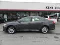 Magnetic Gray Metallic - Camry Hybrid XLE Photo No. 21