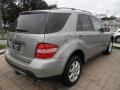 Pewter Metallic - ML 350 4Matic Photo No. 5