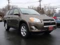 2009 Pyrite Mica Toyota RAV4 Limited 4WD  photo #3