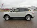 Light Sage Metallic 2007 Ford Edge SEL AWD Exterior