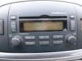 Bright Silver - Sonata GLS V6 Photo No. 19