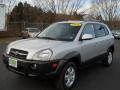 Platinum Silver - Tucson SE 4WD Photo No. 1