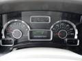 2010 Ford Expedition Charcoal Black/Camel Interior Gauges Photo