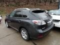 Smokey Granite Mica - RX 350 AWD Photo No. 3