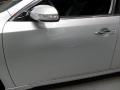 Radiant Silver Metallic - Maxima 3.5 SV Photo No. 8