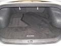 Radiant Silver Metallic - Maxima 3.5 SV Photo No. 16
