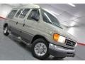 Gold Ash Metallic - E Series Van E250 Passenger Conversion Photo No. 3