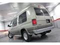 Gold Ash Metallic - E Series Van E250 Passenger Conversion Photo No. 23