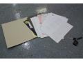 Gold Ash Metallic - E Series Van E250 Passenger Conversion Photo No. 115