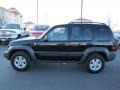 Black - Liberty Sport 4x4 Photo No. 4