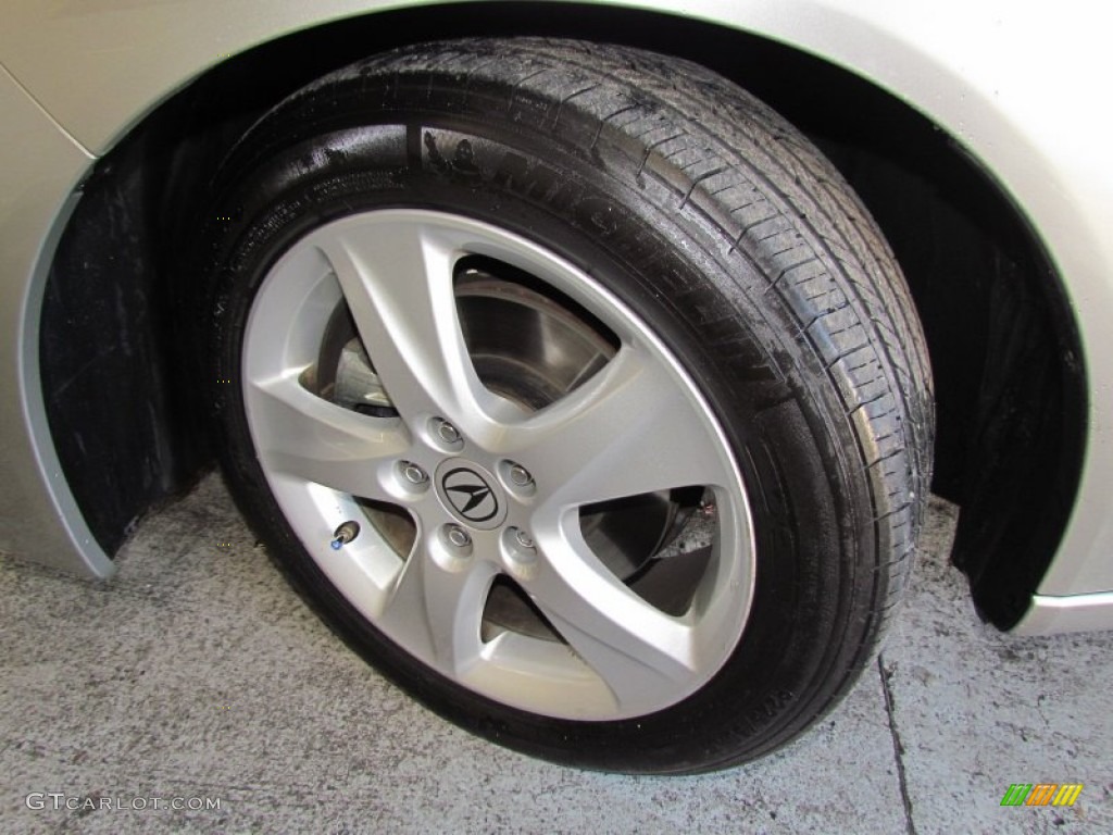 2010 TSX Sedan - Palladium Metallic / Ebony photo #21