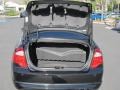 Charcoal Black Trunk Photo for 2010 Ford Fusion #59588547
