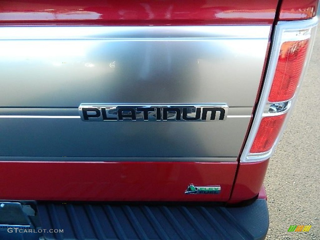 2010 Ford F150 Platinum SuperCrew 4x4 Marks and Logos Photo #59591853