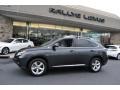 Smokey Granite Mica - RX 350 AWD Photo No. 3