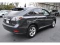 Smokey Granite Mica - RX 350 AWD Photo No. 6