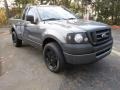 2007 Dark Shadow Grey Metallic Ford F150 XL Regular Cab  photo #3