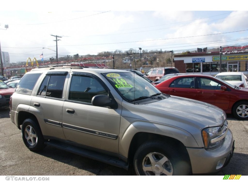 2002 TrailBlazer LT 4x4 - Sandalwood Metallic / Dark Pewter photo #4