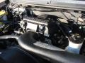 5.4 Liter SOHC 24V Triton V8 2004 Ford F150 Lariat SuperCrew 4x4 Engine