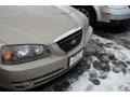 Champagne Beige - Elantra GLS Sedan Photo No. 17