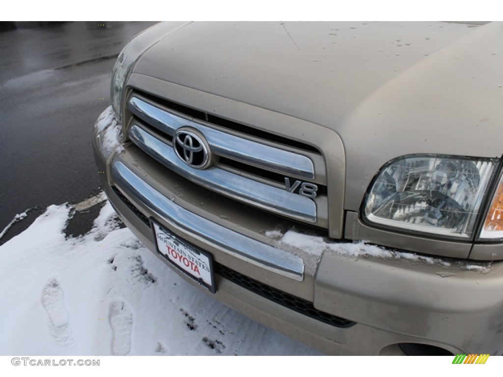 2003 Tundra SR5 Access Cab - Desert Sand Metallic / Oak photo #16